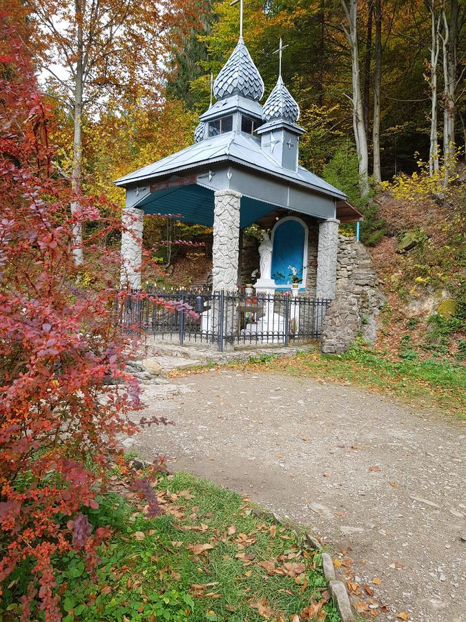 Dayarta Hotel Skhidnytsia Exterior foto