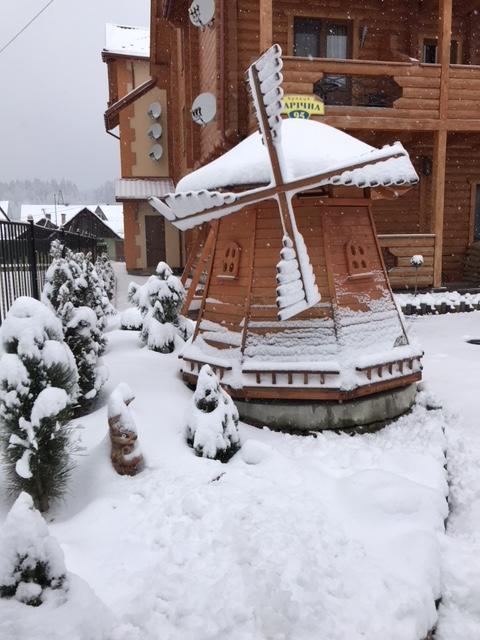Dayarta Hotel Skhidnytsia Exterior foto